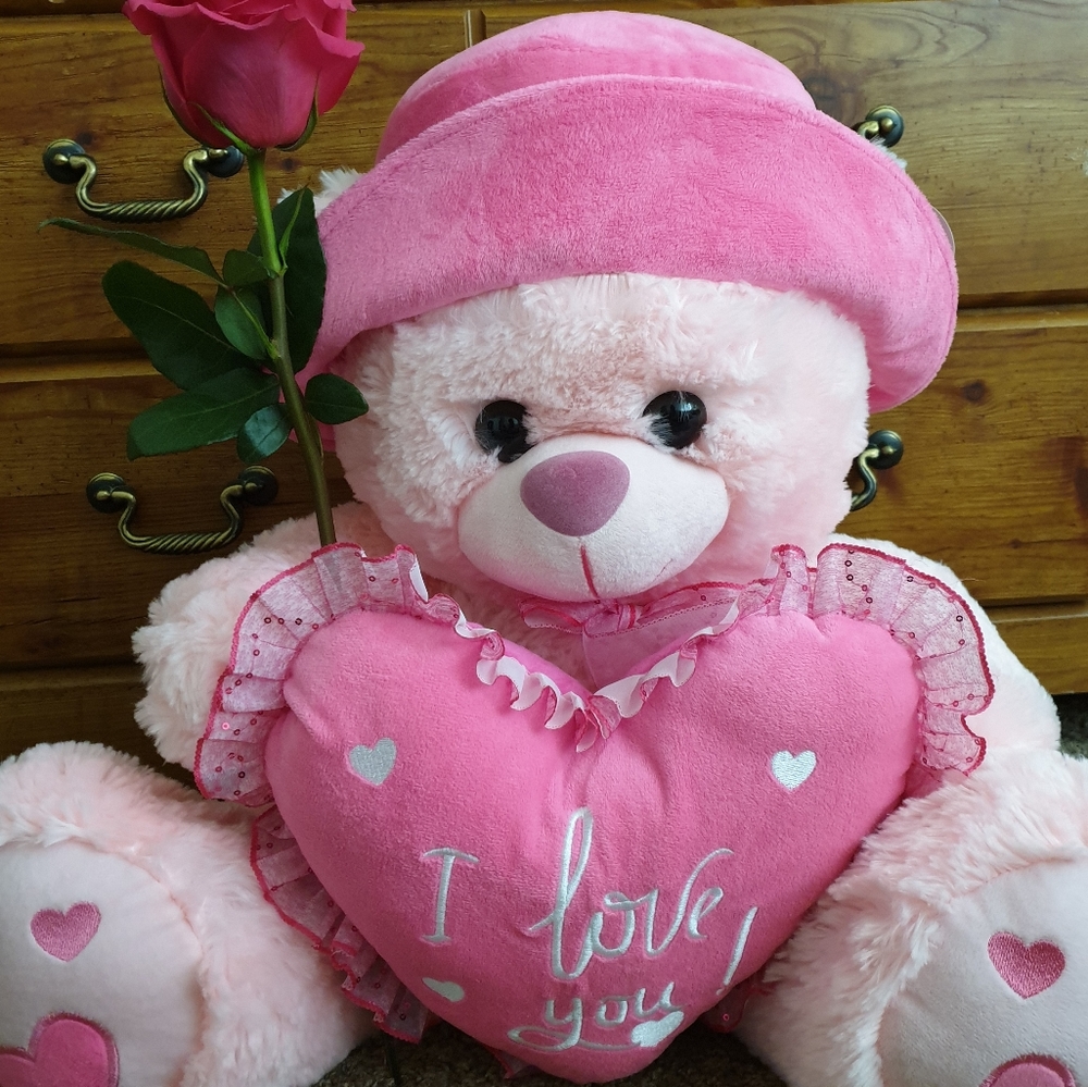 Meet your Posher, Ann